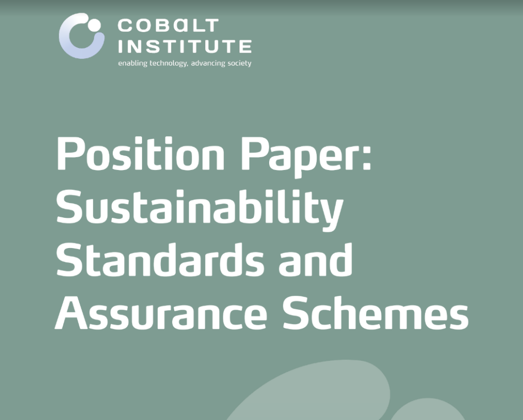 Sustainability Standards and Assurance Schemes Position Paper