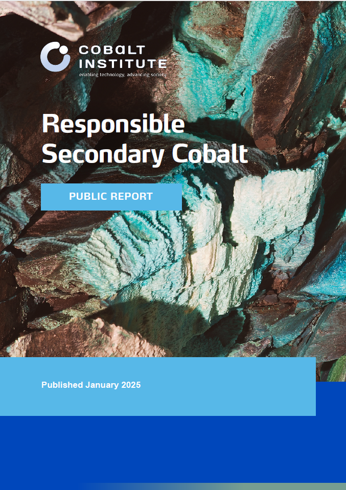 Mining cobalt from waste: Capturing lost value in a responsible cobalt value chain